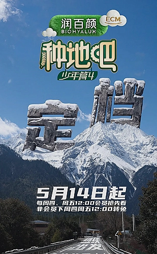 暮色回响