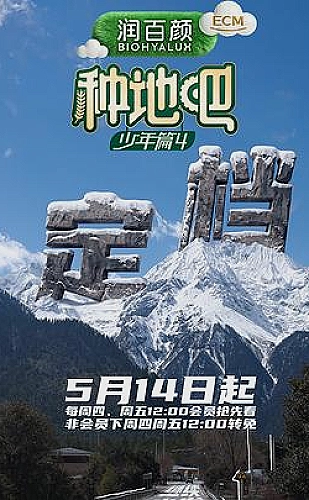 小城创业手册海报